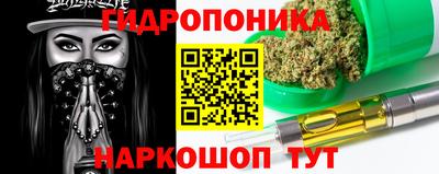 крисы Кунгур
