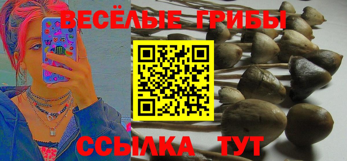 Псилоцибиновые грибы прущие грибы  где купить наркоту  Донской  Вход с VPN 